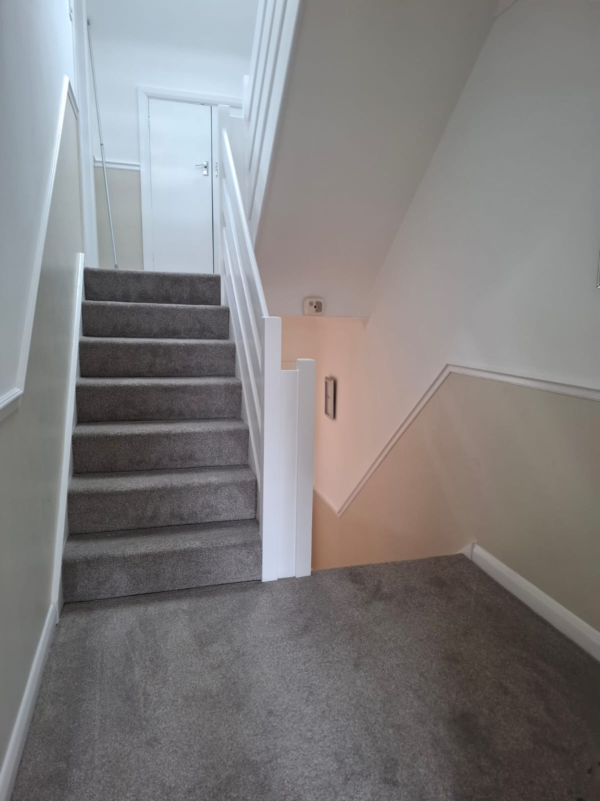 Student house cleaning